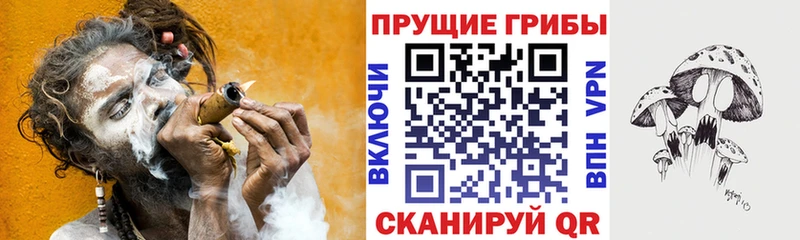 Псилоцибиновые грибы мухоморы  MEGA рабочий сайт  Владивосток 