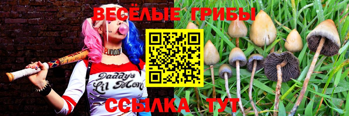 Галлюциногенные грибы Psilocybine cubensis  Псилоцибиновые грибы мухоморы  Владивосток  Вход с VPN 